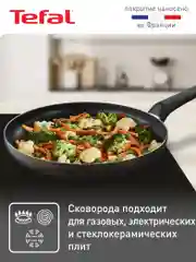 Черный cковорода с крышкой 24 см Tefal Easy Plus 04237924