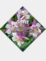 Аквилегия гибридная Фламинго 0,05г (Дарит)