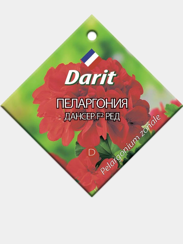 Пеларгония Дансер Ред F2 4шт. (Дарит)
