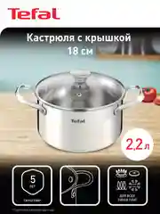 Серебряный кастрюля 2.2 л Tefal Cook Eat B9214374 с крышкой 18 см