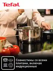 Серебряный кастрюля 5.4 л Tefal Cook Eat B9214674 с крышкой 24 см