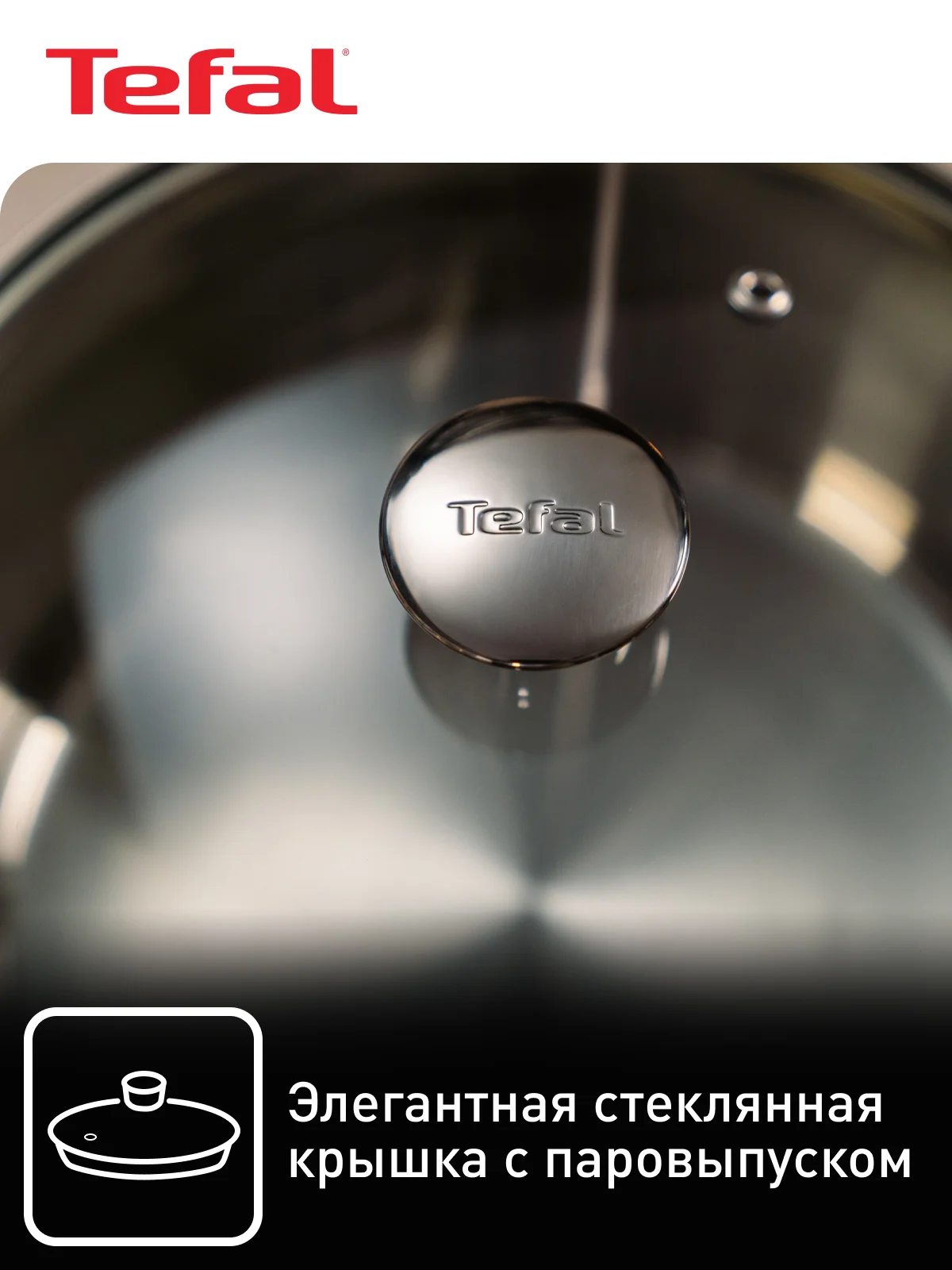 Серебряный кастрюля 5.4 л Tefal Cook Eat B9214674 с крышкой 24 см