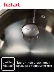 Серебряный кастрюля 5.4 л Tefal Cook Eat B9214674 с крышкой 24 см