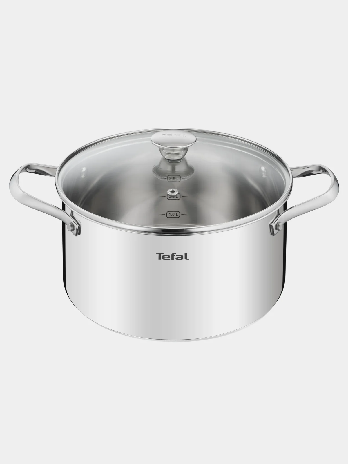Серебряный кастрюля 5.4 л Tefal Cook Eat B9214674 с крышкой 24 см