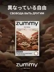 Коричневый цветные линзы Zummy Natural 0,0, радиус кривизны 8,6