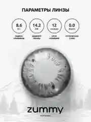 Серый цветные линзы Zummy Natural 0,0, радиус кривизны 8,6