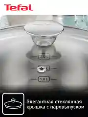 Серебряный набор посуды с крышкой Tefal Cook Eat B922S434 28/20/16 см