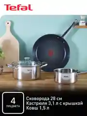 Серебряный набор посуды с крышкой Tefal Cook Eat B922S434 28/20/16 см