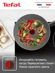 Серый сковорода вок 28 см Tefal Natural Cook 04213628, глубокая
