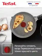 Серый блинная сковорода 22 см Tefal Natural Cook 04213522