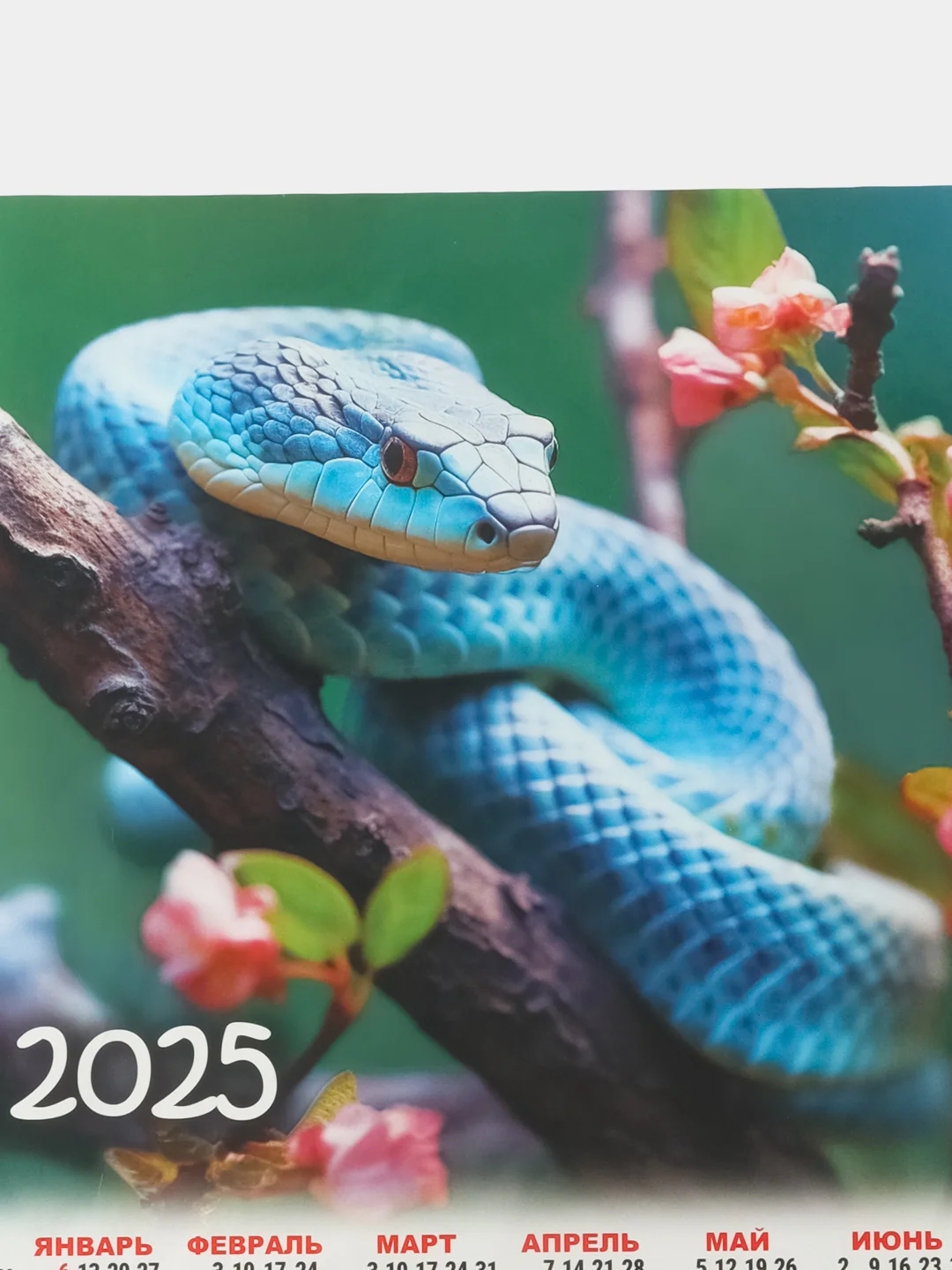 Алый календарь, Символ года, Листовой календарь, А3, 2025 год