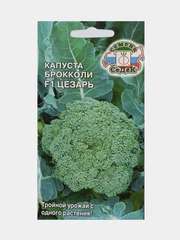 Семена Капуста брокколи F1 Цезарь, СеДеК, 0,3г