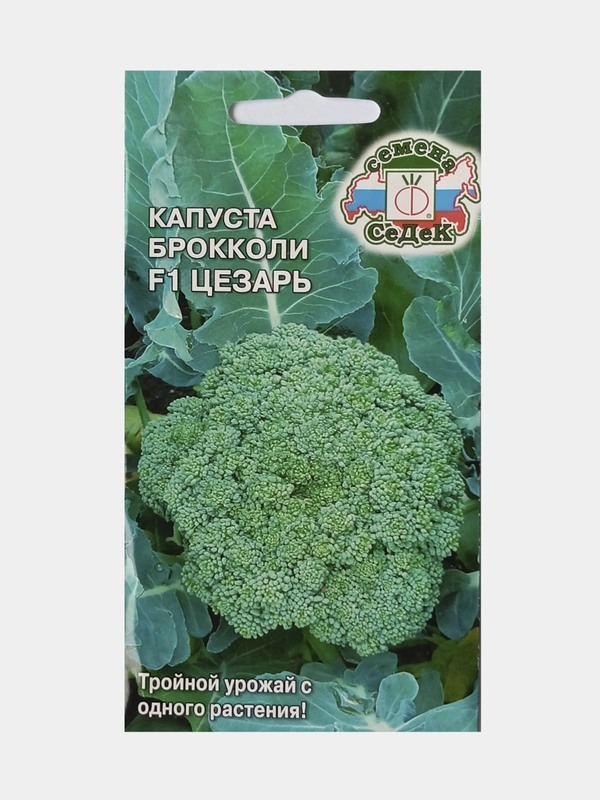 Семена Капуста брокколи F1 Цезарь, СеДеК, 0,3г
