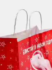 Красный пакет новогодний, подарочный, 38 х 28 х 15 см