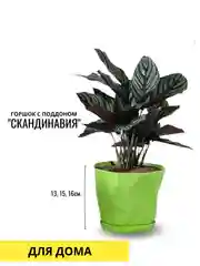 Горшок с поддоном "СКАНДИНАВИЯ",  три цвета