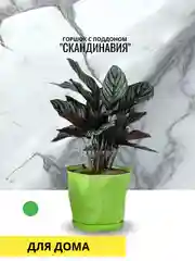 Лесной зеленый горшок с поддоном "СКАНДИНАВИЯ",  три цвета