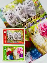 Пазл для малышей мозаика логика 2 шт 24 котята котенок кошка кот кошечка домашние животные