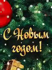 Зеленый пакет подарочный новогодний , размер 30*40 см, количество 3 шт, 5 шт