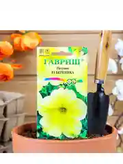 Семена цветов Петуния "Береника" F1, многоцветковая, О, ц/п, гранулы, пробирка, 7 шт