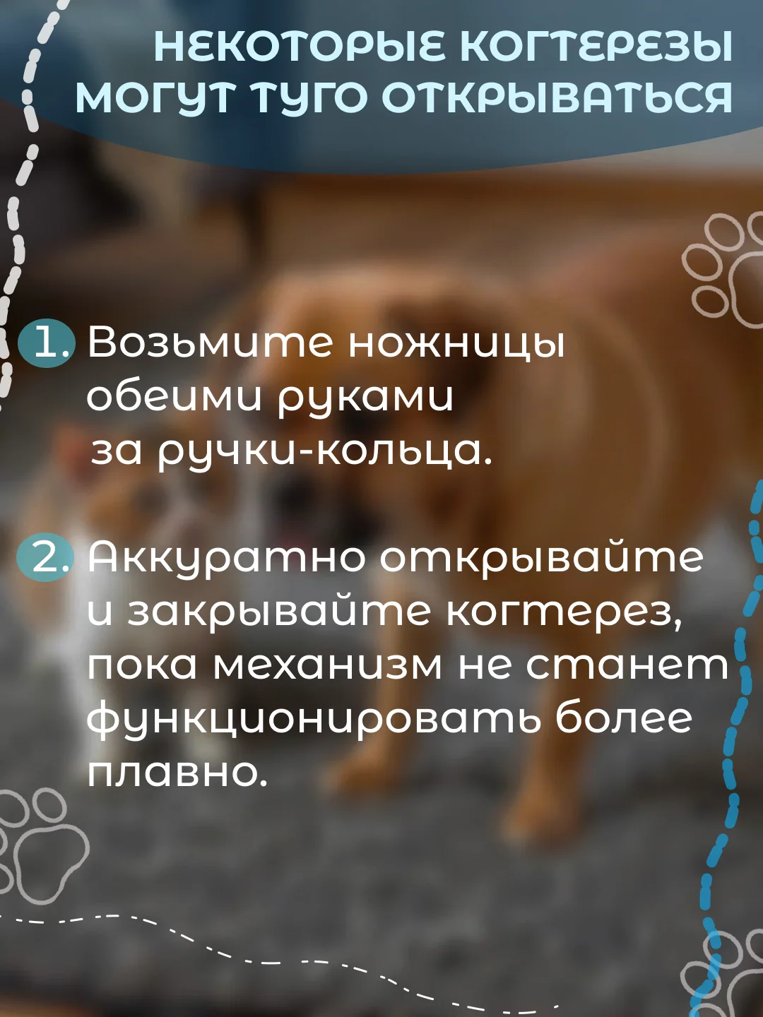 Голубой когтерез для кошек, ножницы для стрижки когтей