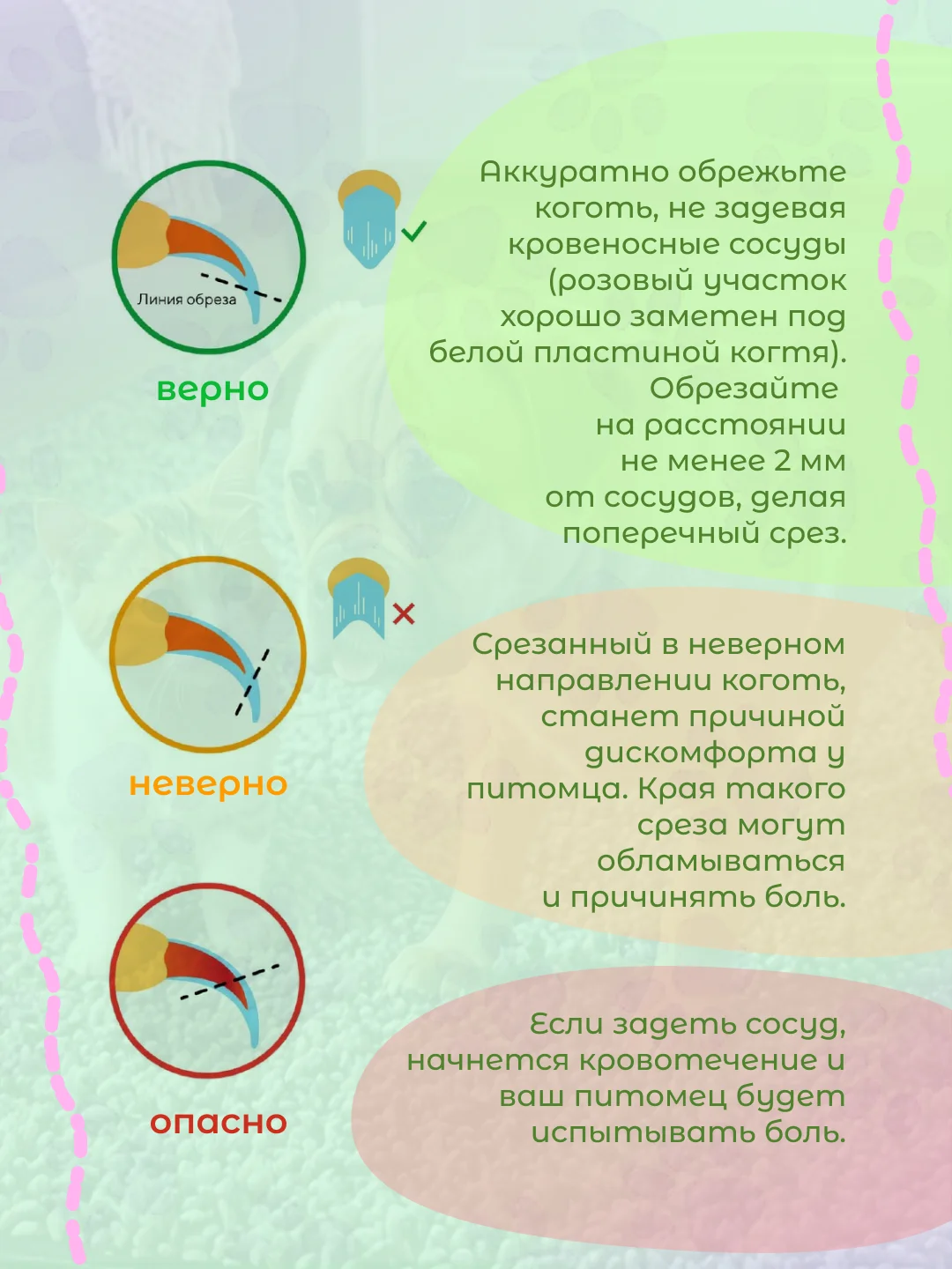 Голубой когтерез для кошек, ножницы для стрижки когтей