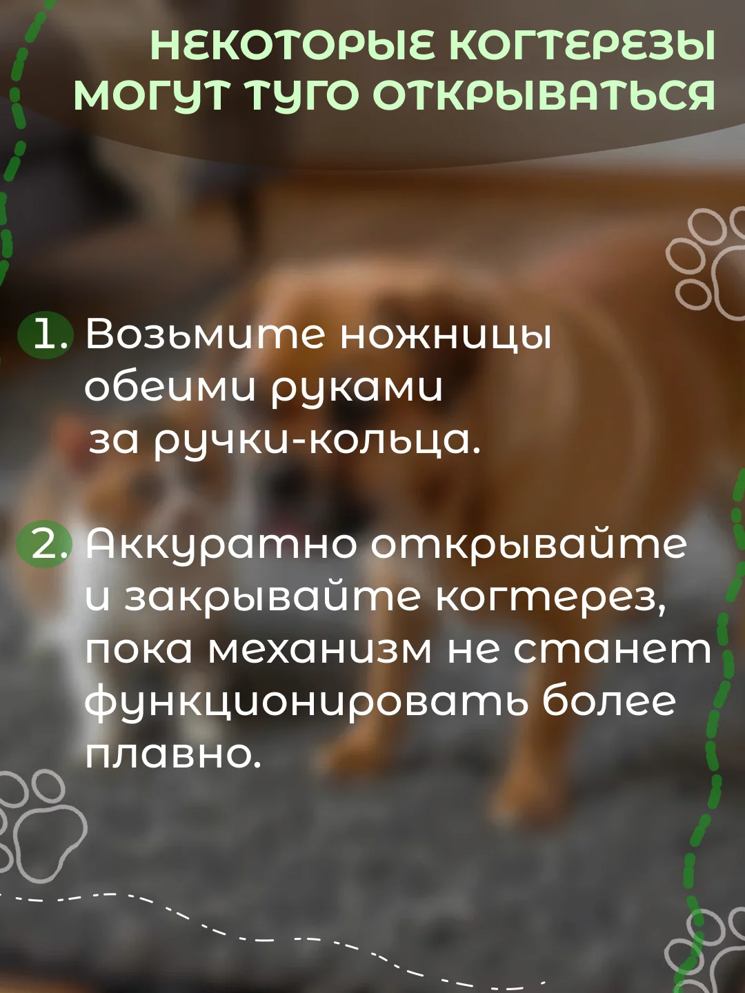 Черный когтерез для кошек, ножницы для стрижки когтей
