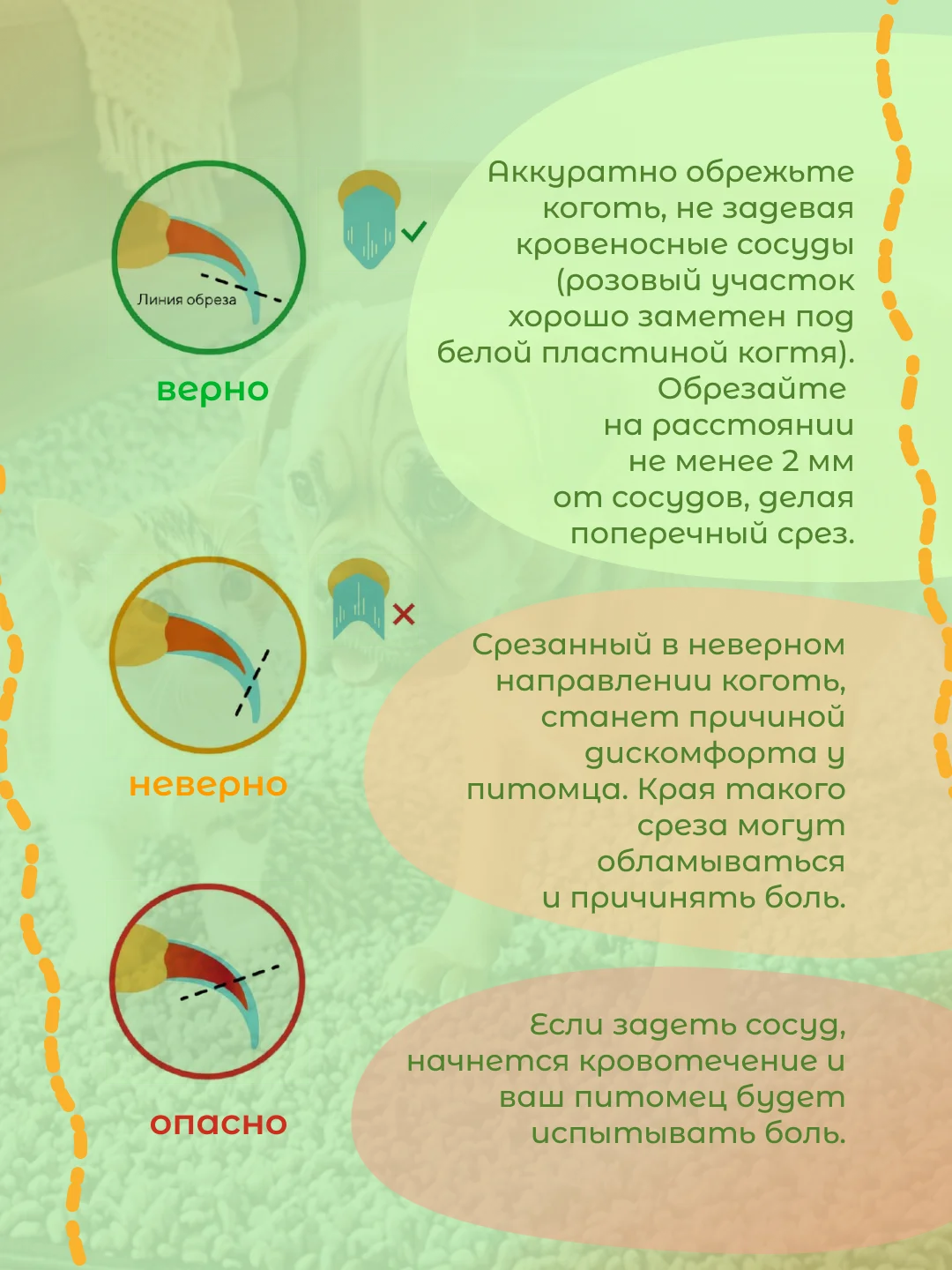 Черный когтерез для кошек, ножницы для стрижки когтей