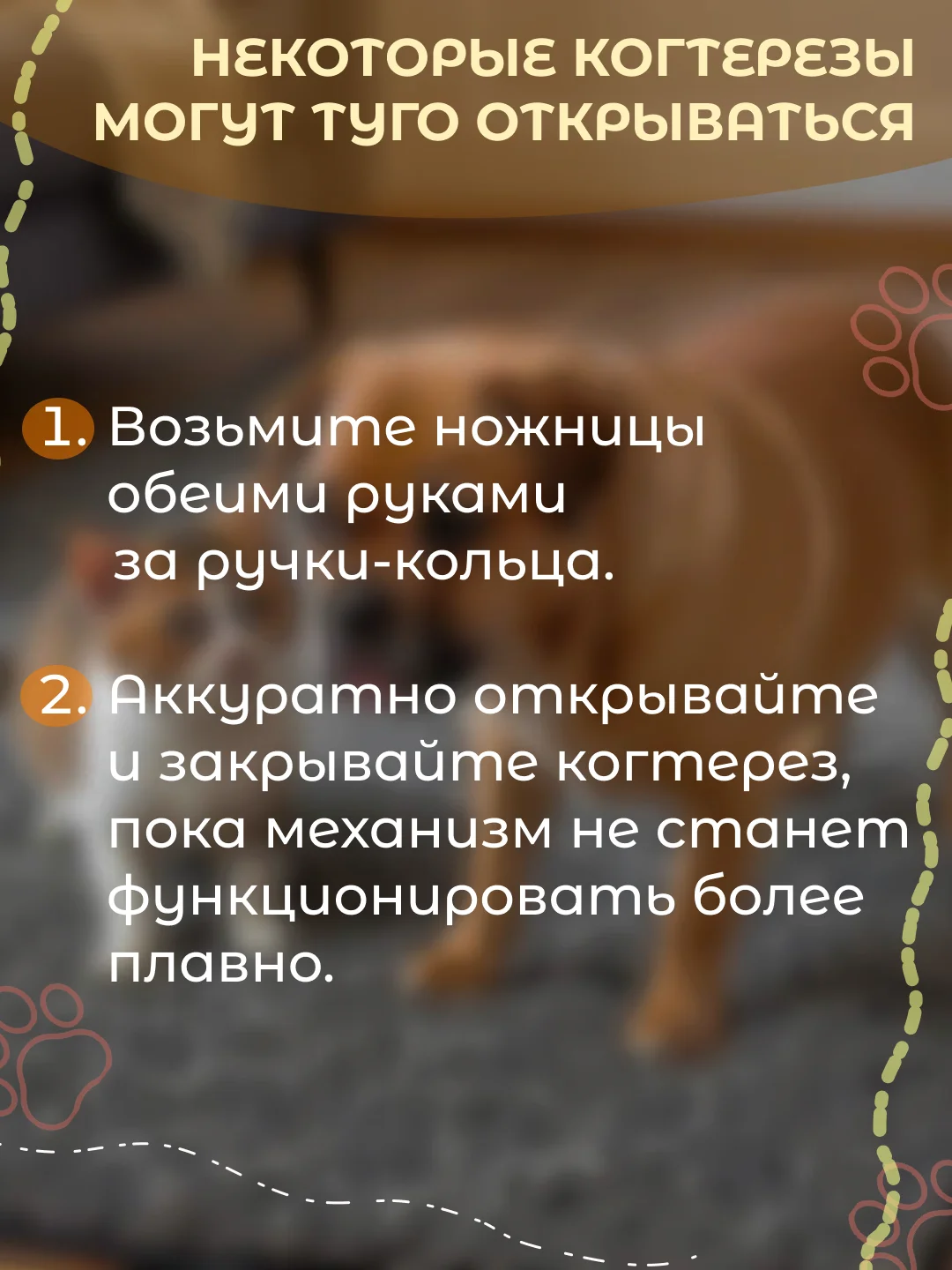 Белый когтерез для кошек, ножницы для стрижки когтей