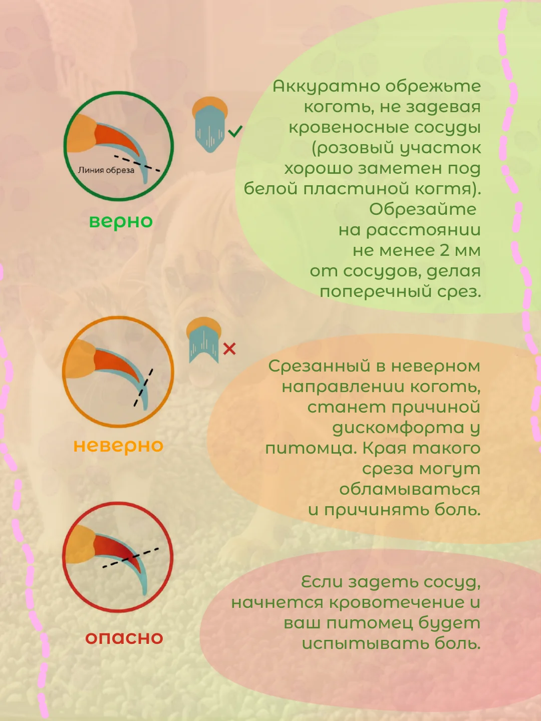 Белый когтерез для кошек, ножницы для стрижки когтей