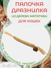 Палочка-дразнилка из растения Мататаби: полезное лакомство для кошек
