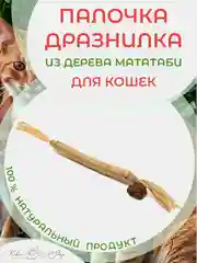 Палочка-дразнилка из растения Мататаби: полезное лакомство для кошек