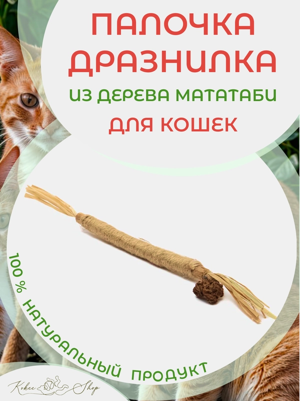 Палочка-дразнилка из растения Мататаби: полезное лакомство для кошек