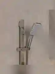 Лейка для душа Milardo Ideal Spa, 1 режим, хром