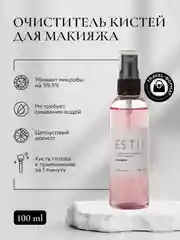Антибактериальный очиститель кистей для макияжа ESSTIR Stadard 100 ml (спрей)