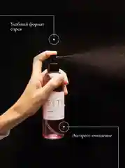 Антибактериальный очиститель кистей для макияжа ESSTIR Stadard 100 ml (спрей)