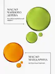 Антибактериальный очиститель кистей для макияжа ESSTIR Stadard 100 ml (спрей)
