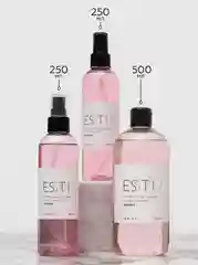 Антибактериальный очиститель кистей для макияжа ESSTIR Stadard 100 ml (спрей)