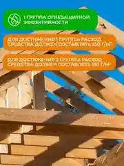 Огнебиозащитный состав для древесины Neomid 450, 1 группа, 5 кг, бесцветный
