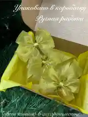 Набор елочных украшений Бант 6 шт