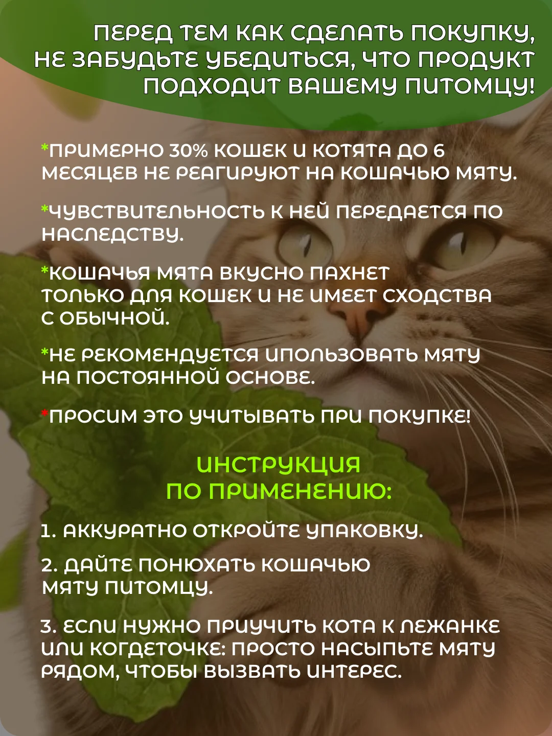 Кошачья мята, лакомство для кошек, 1 гр