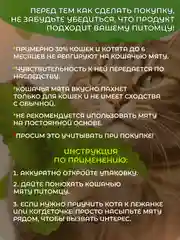 Кошачья мята, лакомство для кошек по 3 и 5 гр