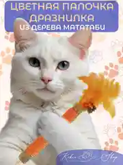 Органическая палочка-дразнилка из дерева мататаби