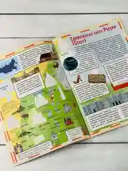 Развивающая книжка с заданиями стикеры Атлас России наклейки карта страны Россия животные