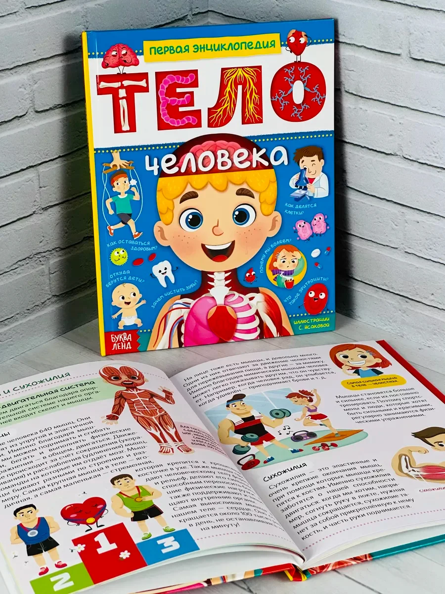 Энциклопедия для детей Анатомия Тело человека Доктор Биология детская обучающая книга