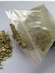 Кошачья мята для веселого вечера в мур мур компании