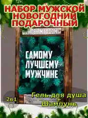 Подарочный набор новогодний мужчине, гель для душа и шампунь,2х250 мл,подарок на Новый год