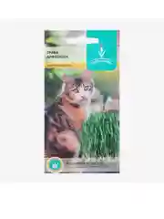 Семена трава для кошек