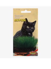 Семена трава для кошек