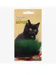 Семена трава для кошек