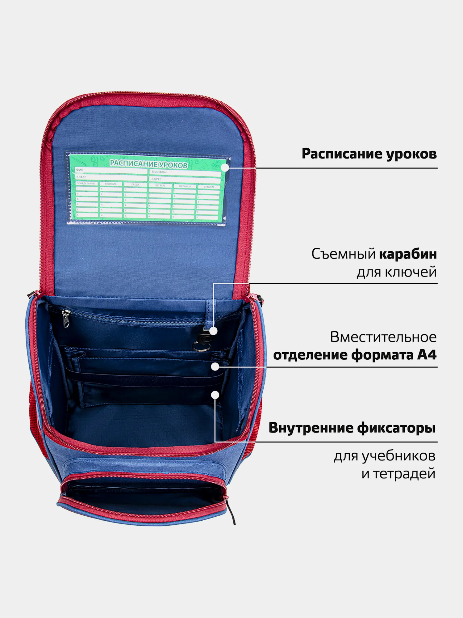 Рюкзак школьный Пифагор 1 отделение, 3 кармана, эргономичная спинка, Champion, 270685